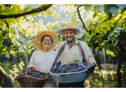Tour Gran Reserva - Vale dos Vinhedos